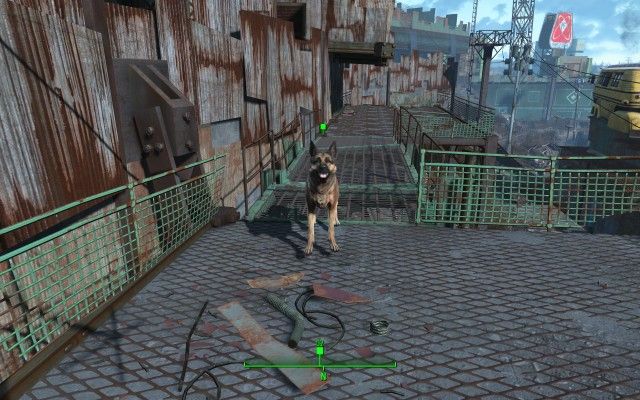 Show Dogmeat the Cigar