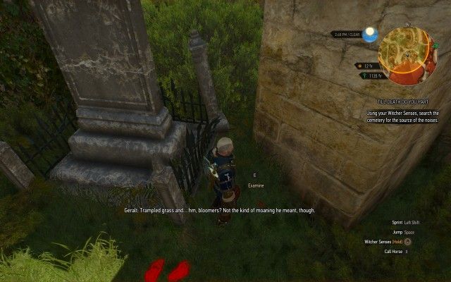 Using your Witcher Senses, search the cemetery for the source of the noises.