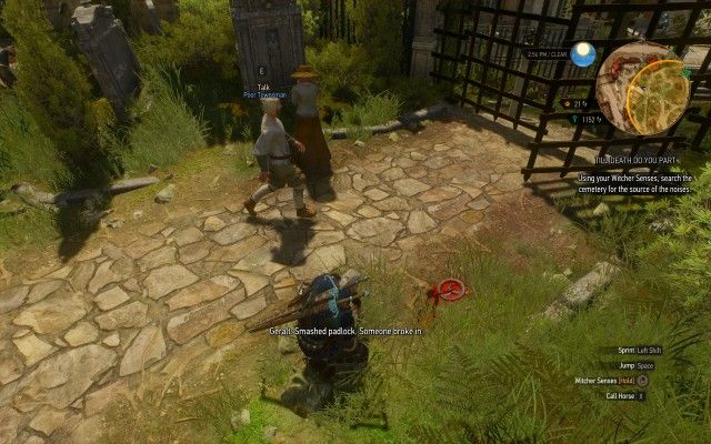 Using your Witcher Senses, search the cemetery for the source of the noises.