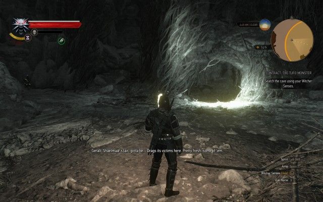 Search the cave using your Witcher Senses.
