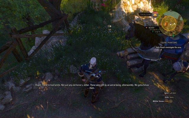 Use your Witcher Senses to examine the area.