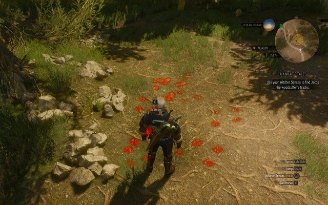 Use your Witcher Senses to find Jacob the woodcutter's tracks.