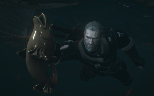 Use your Witcher Senses to find the golden fish in the pond.