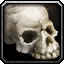 Alumeth's Skull