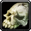 Ancient Hero's Skull