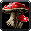 Blood Mushroom