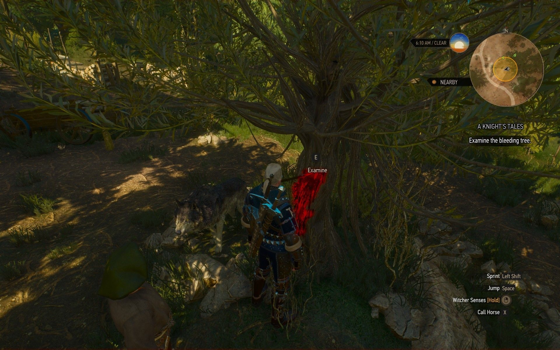 Knight's tale witcher 3