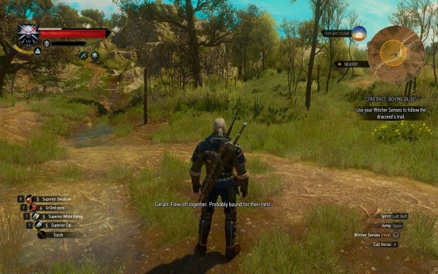 Use your Witcher Senses to follow the draconid's trail.
