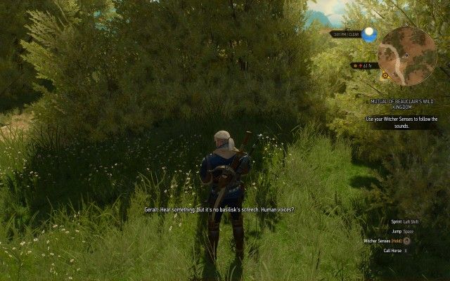 Use your Witcher Senses to follow the sounds.