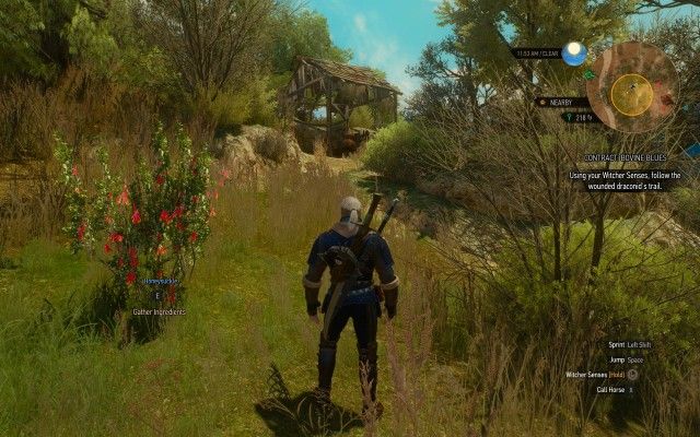 Using your Witcher Senses, follow the wounded draconid's trail.