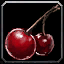 Marshberry