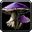 Runed Fungalcap