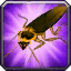 Cockroach